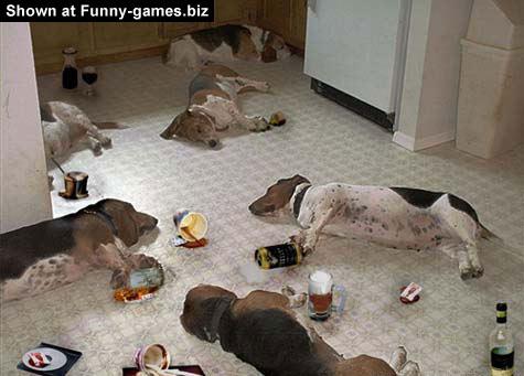animal-drinking-party_mod.jpg